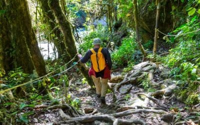 The Best Costa Rica Hiking Trails for the Adventurous Traveler