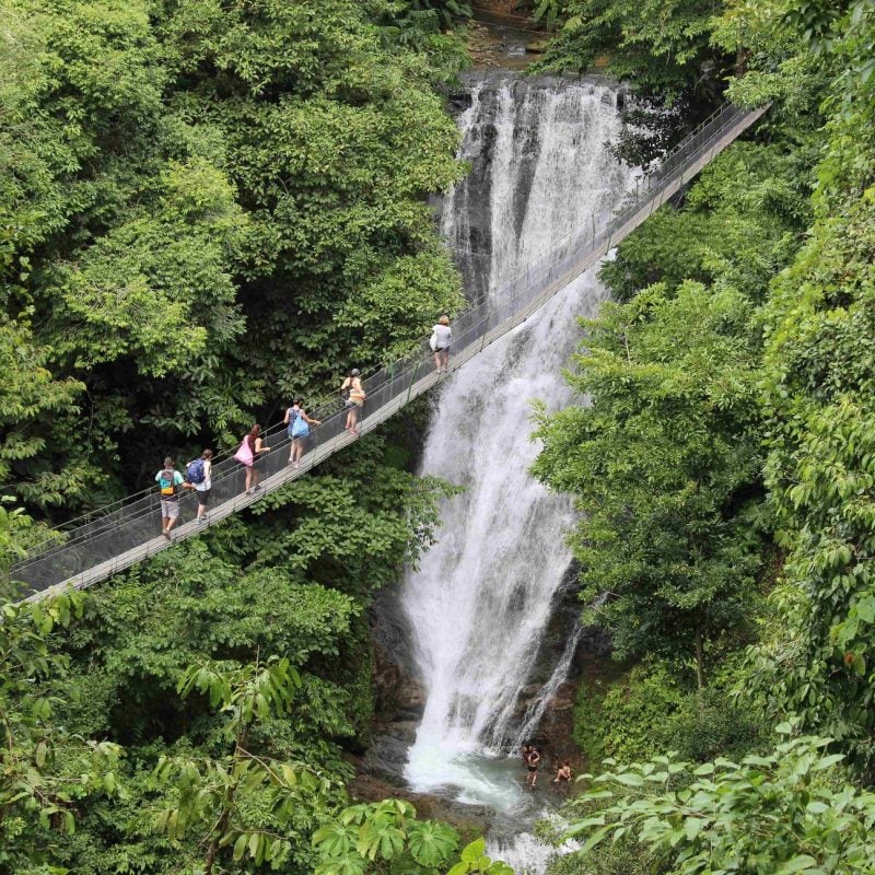 Los Campesinos Hanging Bridges & Waterfall Tour