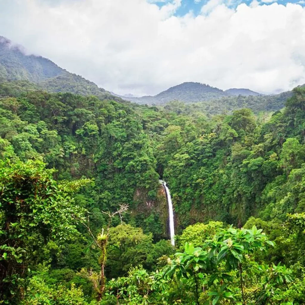 Costa Rica Rainforest