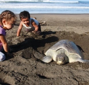 tortuguero-costa-rica