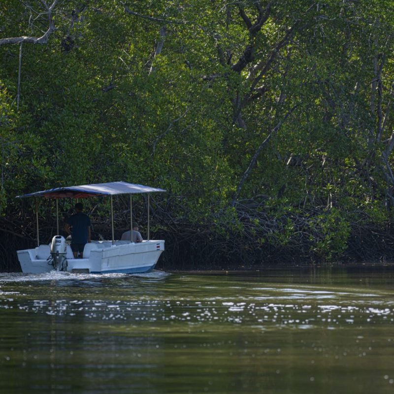 Tamarindo Boat Tour