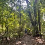 Cabo Blanco Absolute Natural Reserve Tour