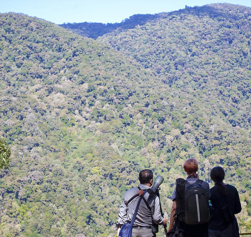 Savegre Lodge Hiking Cerro Buena Vista