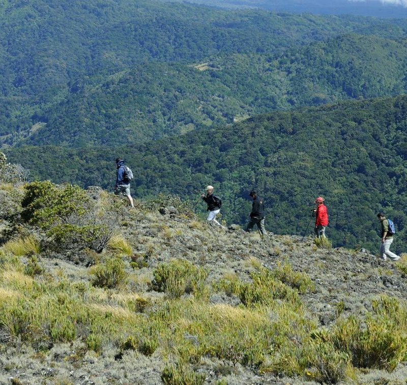 Savegre Lodge Hiking Cerro Buena Vista