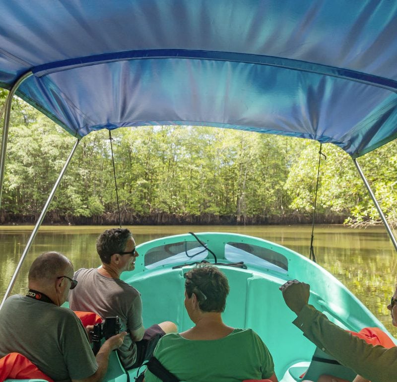 Terraba Sierpe Mangrove & Wildlife