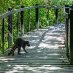 Cahuita National Park