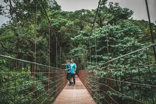 Two people walk on a suspension bridge surrounded by dense green forest.